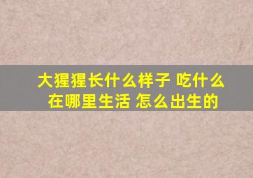 大猩猩长什么样子 吃什么 在哪里生活 怎么出生的